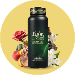 OFFER OF UAE IN SAFE HANDS 1